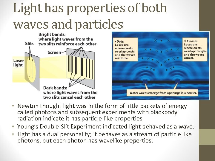 Light has properties of both waves and particles • Newton thought light was in