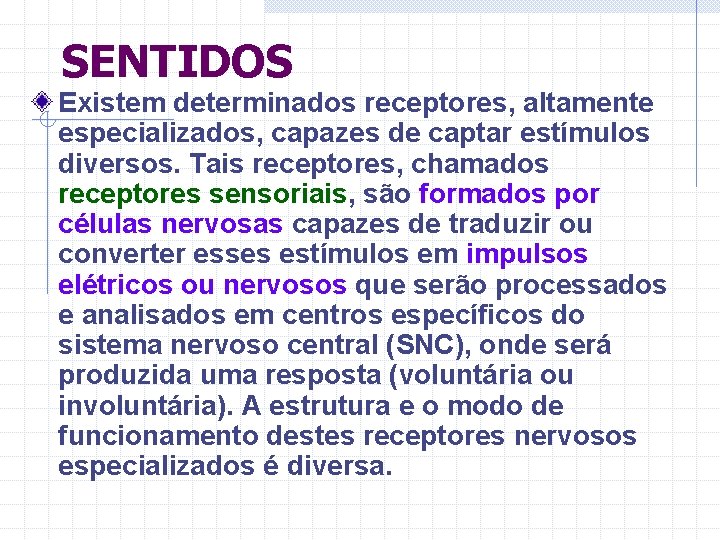 SENTIDOS Existem determinados receptores, altamente especializados, capazes de captar estímulos diversos. Tais receptores, chamados
