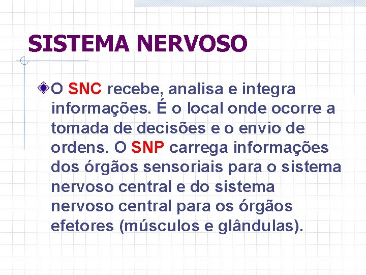 SISTEMA NERVOSO O SNC recebe, analisa e integra informações. É o local onde ocorre