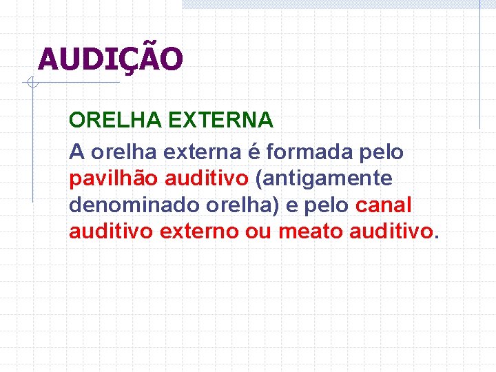 AUDIÇÃO ORELHA EXTERNA A orelha externa é formada pelo pavilhão auditivo (antigamente denominado orelha)