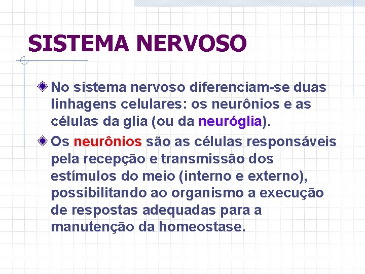 SISTEMA NERVOSO No sistema nervoso diferenciam-se duas linhagens celulares: os neurônios e as células