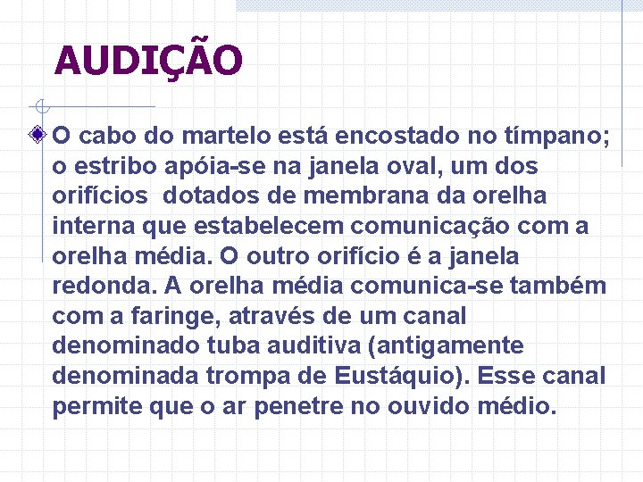 AUDIÇÃO O cabo do martelo está encostado no tímpano; o estribo apóia-se na janela