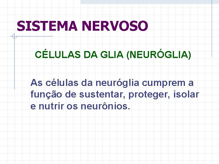 SISTEMA NERVOSO CÉLULAS DA GLIA (NEURÓGLIA) As células da neuróglia cumprem a função de