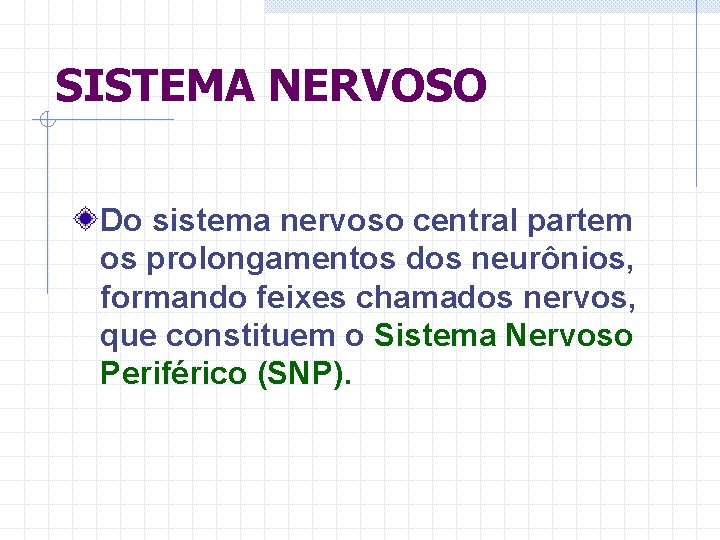 SISTEMA NERVOSO Do sistema nervoso central partem os prolongamentos dos neurônios, formando feixes chamados
