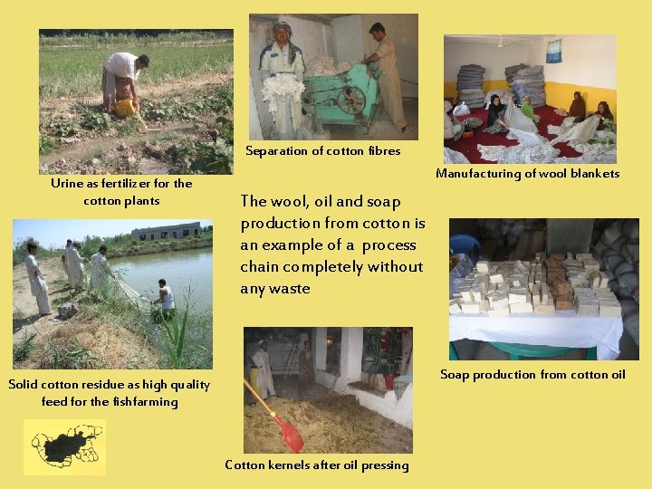 Separation of cotton fibres Urine as fertilizer for the cotton plants Manufacturing of wool