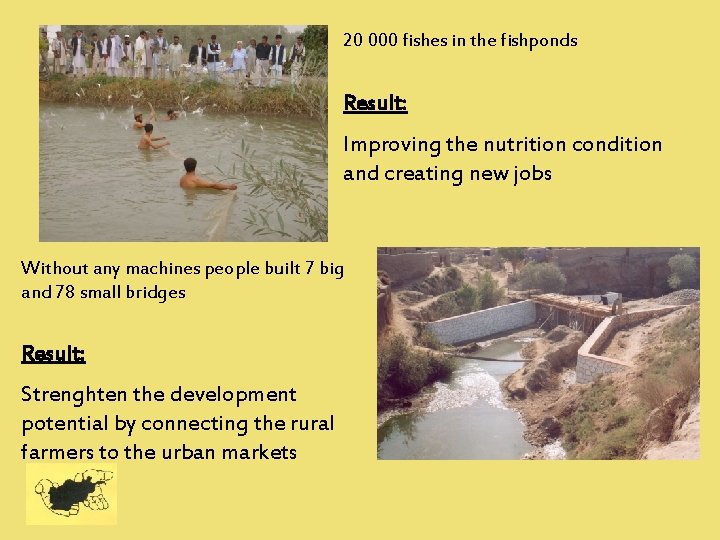 20 000 fishes in the fishponds Result: Improving the nutrition condition and creating new