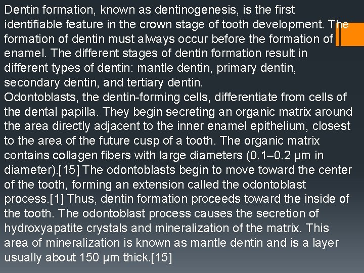 Dentin formation, known as dentinogenesis, is the first identifiable feature in the crown stage Dentin formation, known as dentinogenesis, is the first identifiable feature in the crown stage