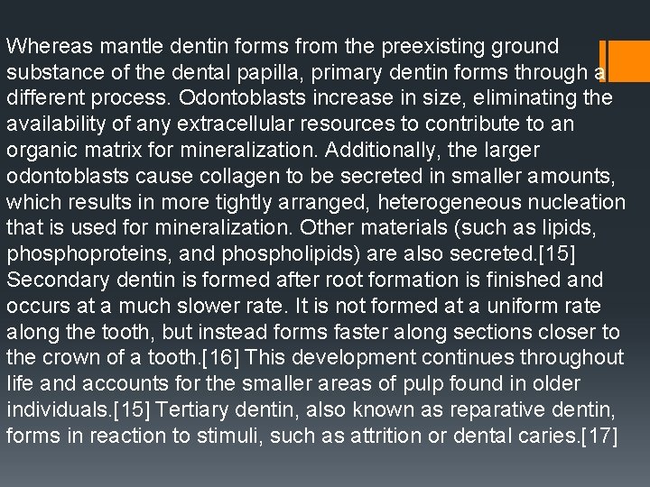 Whereas mantle dentin forms from the preexisting ground substance of the dental papilla, primary Whereas mantle dentin forms from the preexisting ground substance of the dental papilla, primary