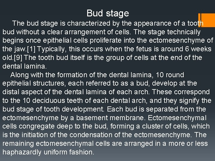Bud stage The bud stage is characterized by the appearance of a tooth bud Bud stage The bud stage is characterized by the appearance of a tooth bud