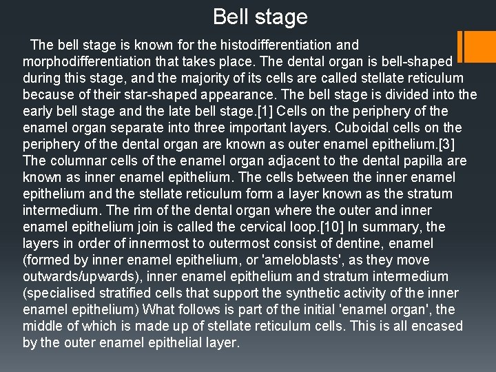 Bell stage The bell stage is known for the histodifferentiation and morphodifferentiation that takes Bell stage The bell stage is known for the histodifferentiation and morphodifferentiation that takes
