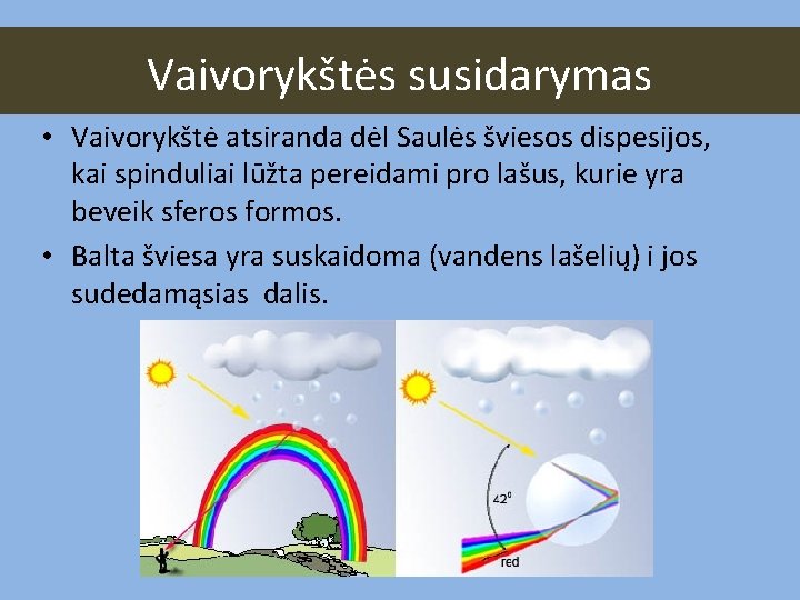 Vaivorykštės susidarymas • Vaivorykštė atsiranda dėl Saulės šviesos dispesijos, kai spinduliai lūžta pereidami pro
