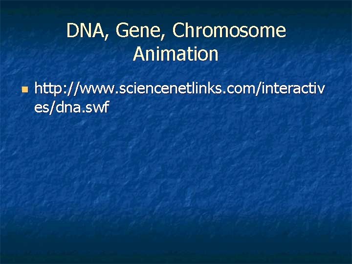 DNA, Gene, Chromosome Animation n http: //www. sciencenetlinks. com/interactiv es/dna. swf 