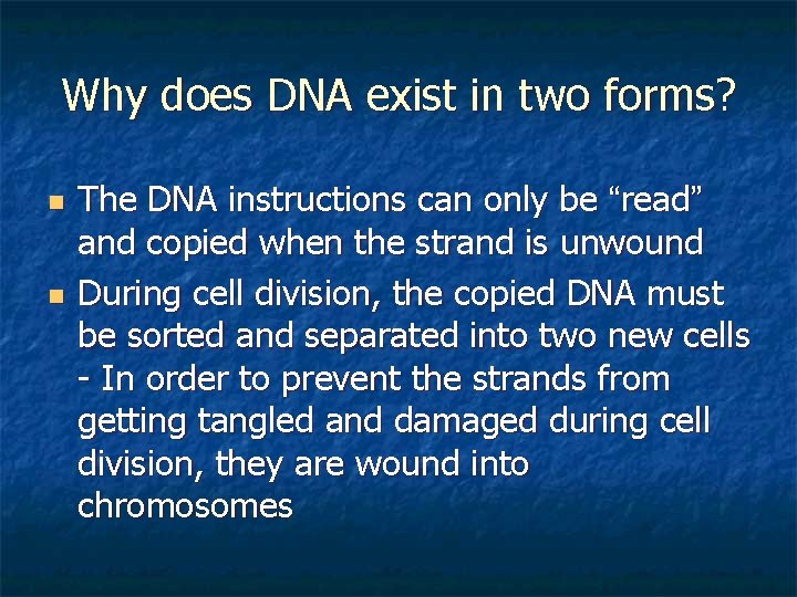 Why does DNA exist in two forms? n n The DNA instructions can only