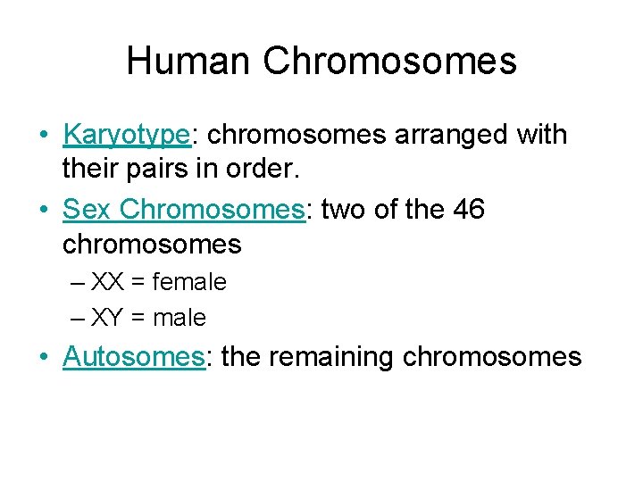 Human Chromosomes • Karyotype: chromosomes arranged with their pairs in order. • Sex Chromosomes: