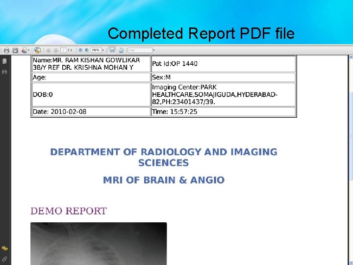 Completed Report PDF file 