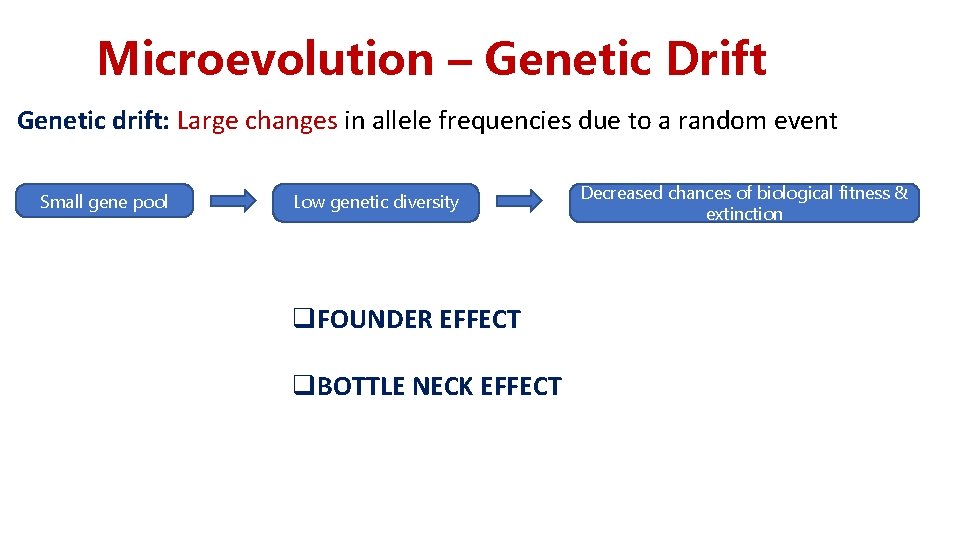 Microevolution – Genetic Drift Genetic drift: Large changes in allele frequencies due to a Microevolution – Genetic Drift Genetic drift: Large changes in allele frequencies due to a