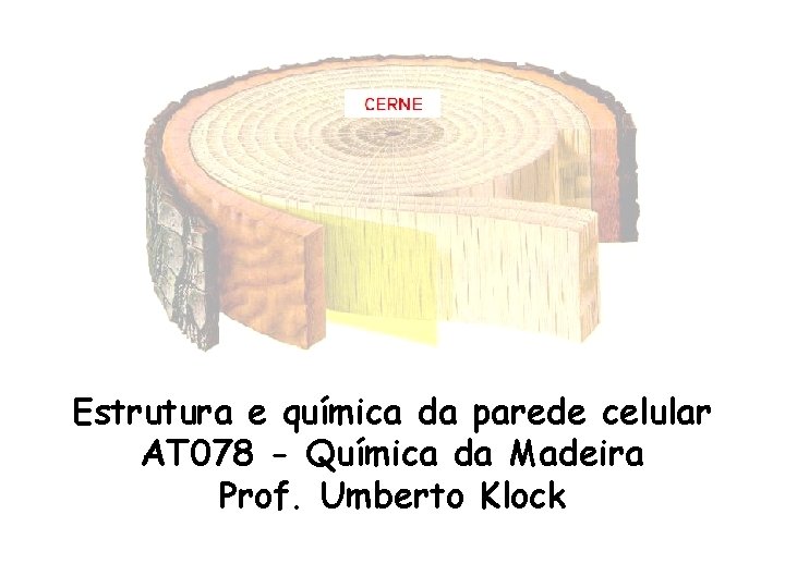 Estrutura e química da parede celular AT 078 - Química da Madeira Prof. Umberto Estrutura e química da parede celular AT 078 - Química da Madeira Prof. Umberto