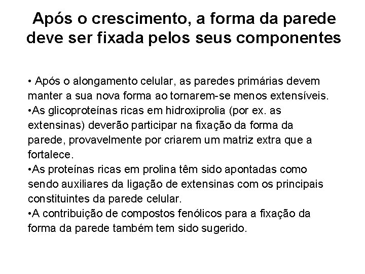 Após o crescimento, a forma da parede deve ser fixada pelos seus componentes • Após o crescimento, a forma da parede deve ser fixada pelos seus componentes •