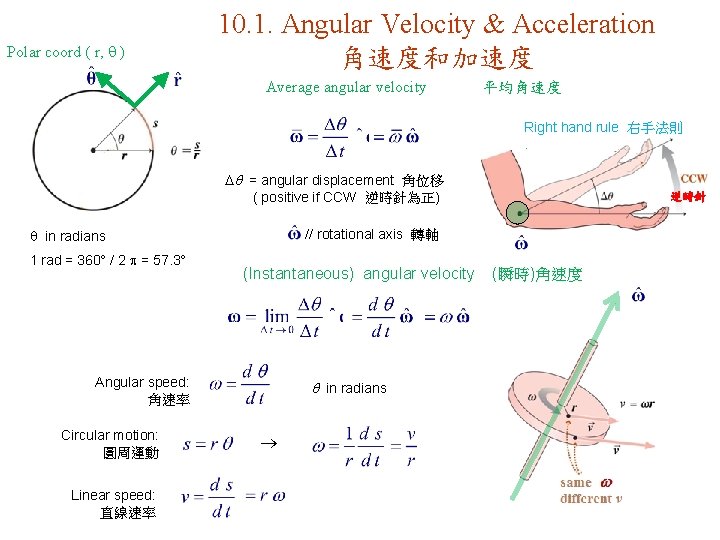 Polar coord ( r, ) 10. 1. Angular Velocity & Acceleration 角速度和加速度 Average angular