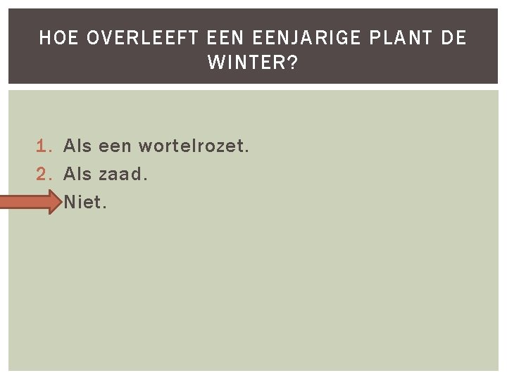 HOE OVERLEEFT EENJARIGE PLANT DE WINTER? 1. Als een wortelrozet. 2. Als zaad. 3.