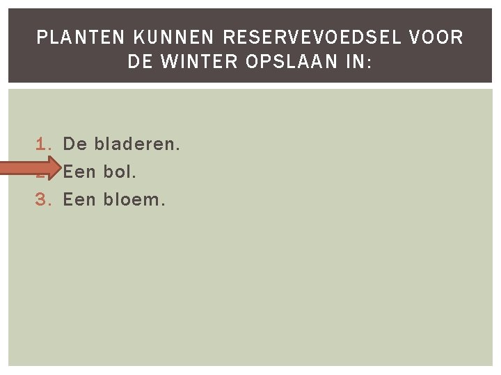 PLANTEN KUNNEN RESERVEVOEDSEL VOOR DE WINTER OPSLAAN IN: 1. De bladeren. 2. Een bol.