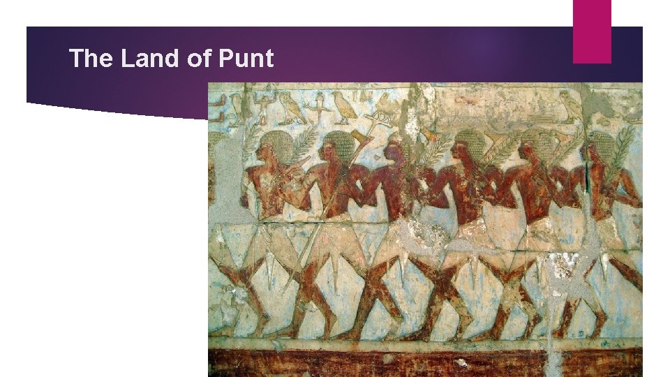 The Land of Punt 