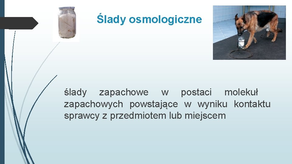 Ślady osmologiczne ślady zapachowe w postaci molekuł zapachowych powstające w wyniku kontaktu sprawcy z