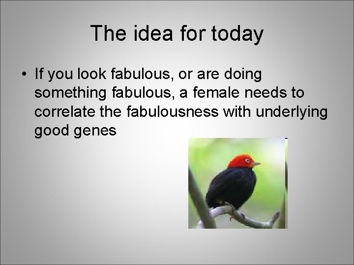 The idea for today • If you look fabulous, or are doing something fabulous,