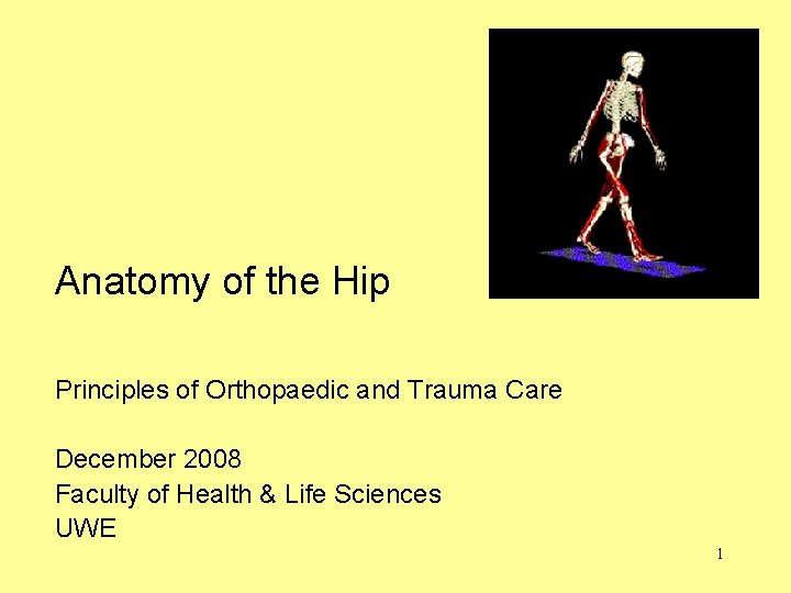 Anatomy of the Hip Principles of Orthopaedic and Trauma Care December 2008 Faculty of