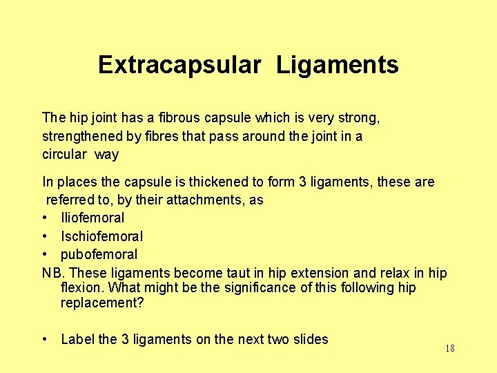 Extracapsular Ligaments The hip joint has a fibrous capsule which is very strong, strengthened