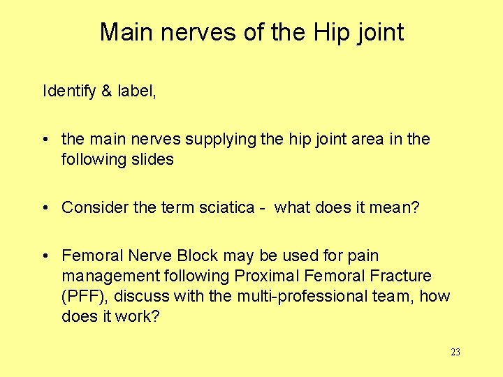 Main nerves of the Hip joint Identify & label, • the main nerves supplying