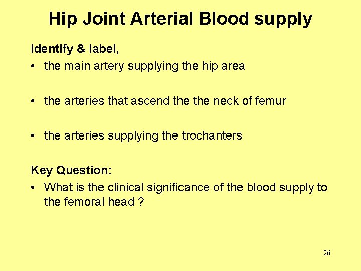 Hip Joint Arterial Blood supply Identify & label, • the main artery supplying the