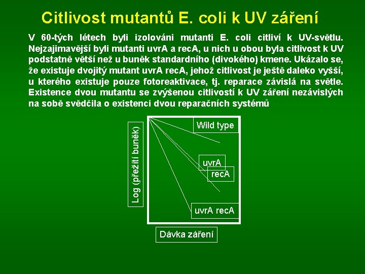 Citlivost mutantů E. coli k UV záření Log (přežítí buněk) V 60 -tých létech
