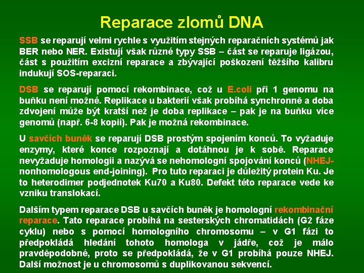 Reparace zlomů DNA SSB se reparují velmi rychle s využitím stejných reparačních systémů jak