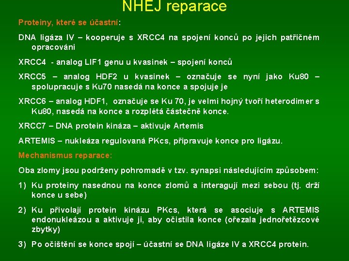 NHEJ reparace Proteiny, které se účastní: DNA ligáza IV – kooperuje s XRCC 4