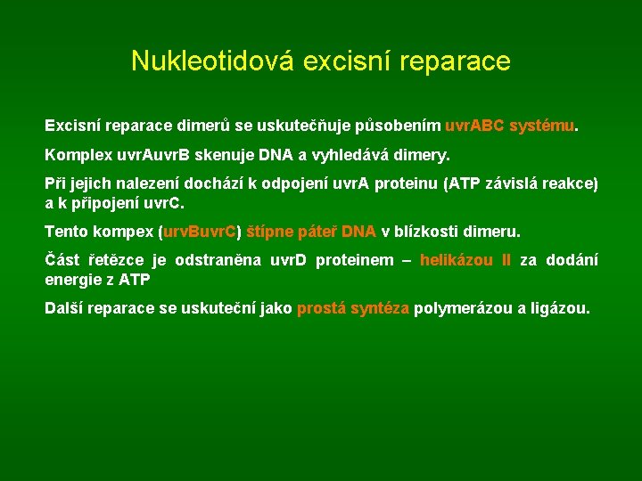 Nukleotidová excisní reparace Excisní reparace dimerů se uskutečňuje působením uvr. ABC systému. Komplex uvr.