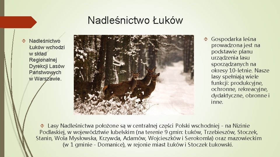 Nadleśnictwo Łuków wchodzi w skład Regionalnej Dyrekcji Lasów Państwowych w Warszawie. Gospodarka leśna prowadzona