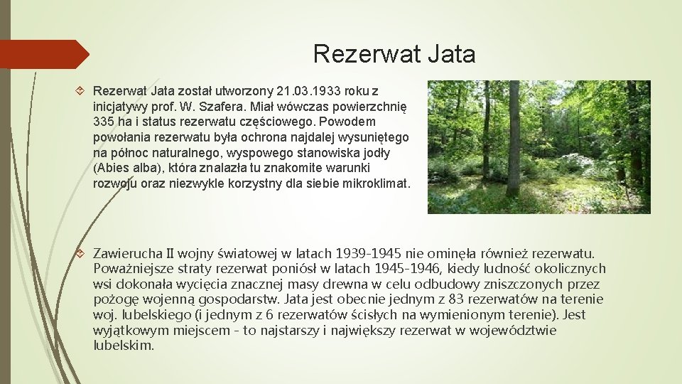 Rezerwat Jata został utworzony 21. 03. 1933 roku z inicjatywy prof. W. Szafera. Miał