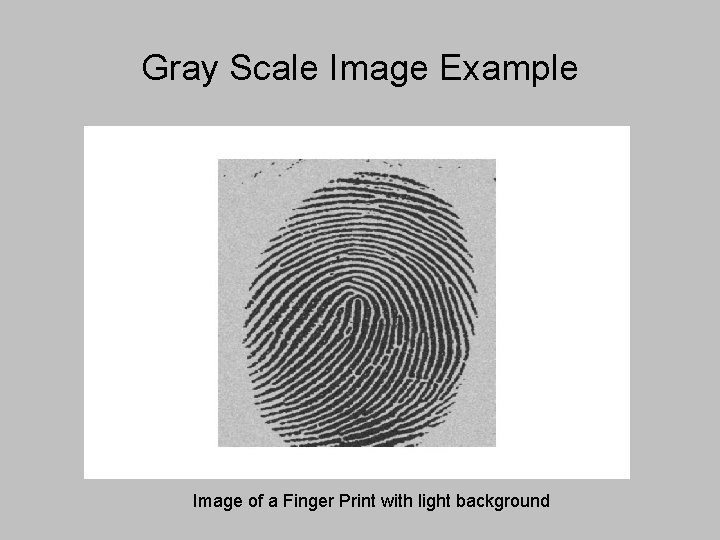 Gray Scale Image Example Image of a Finger Print with light background 