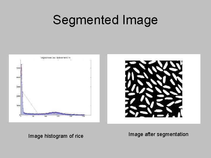 Segmented Image histogram of rice Image after segmentation 