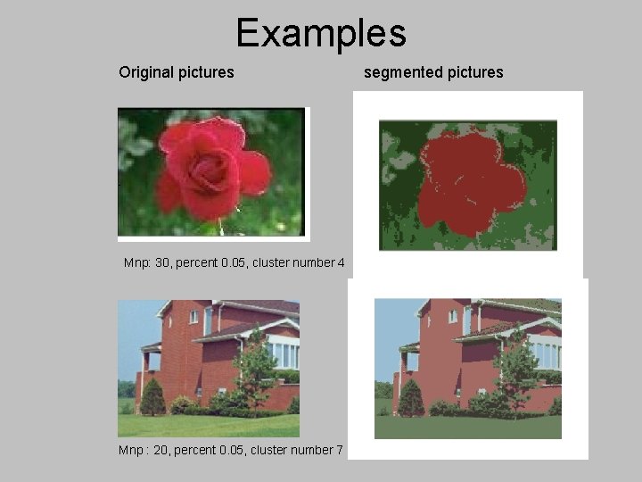 Examples Original pictures segmented pictures Mnp: 30, percent 0. 05, cluster number 4 Mnp