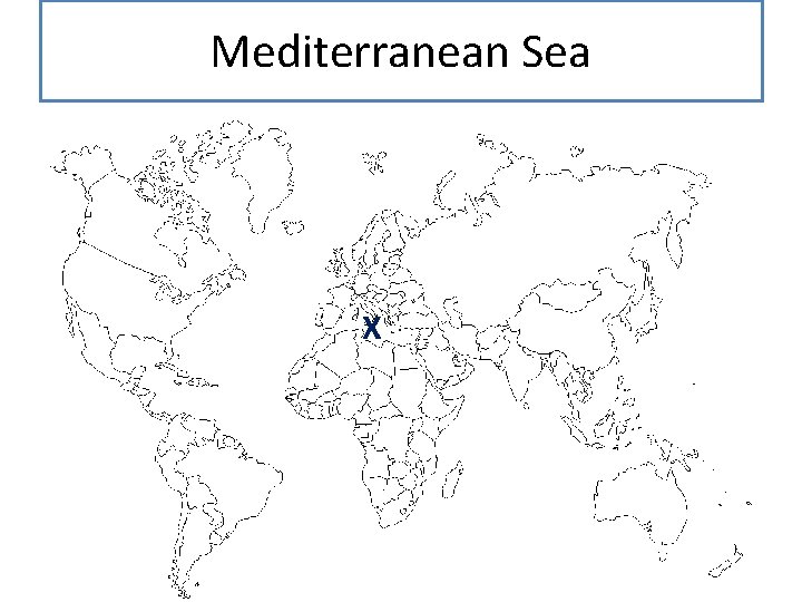 Mediterranean Sea X 