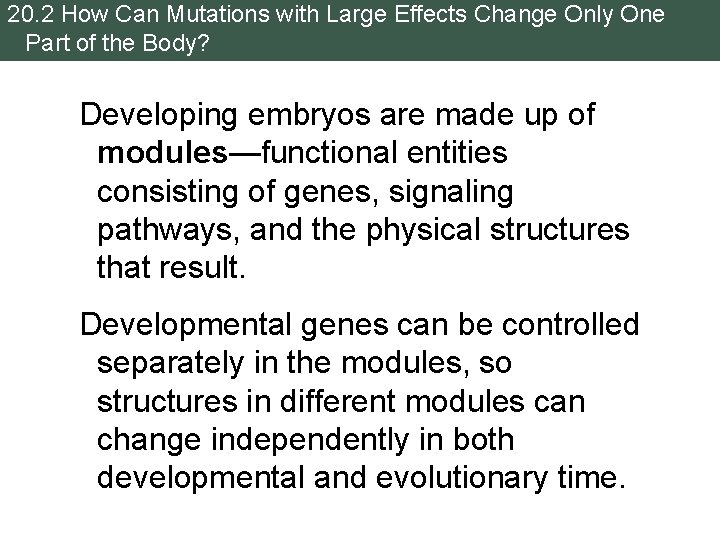 20. 2 How Can Mutations with Large Effects Change Only One Part of the