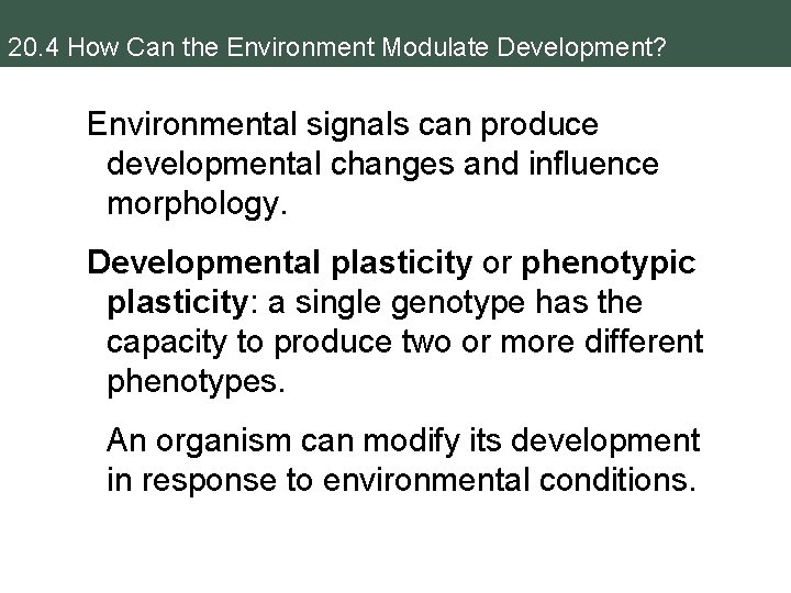 20. 4 How Can the Environment Modulate Development? Environmental signals can produce developmental changes