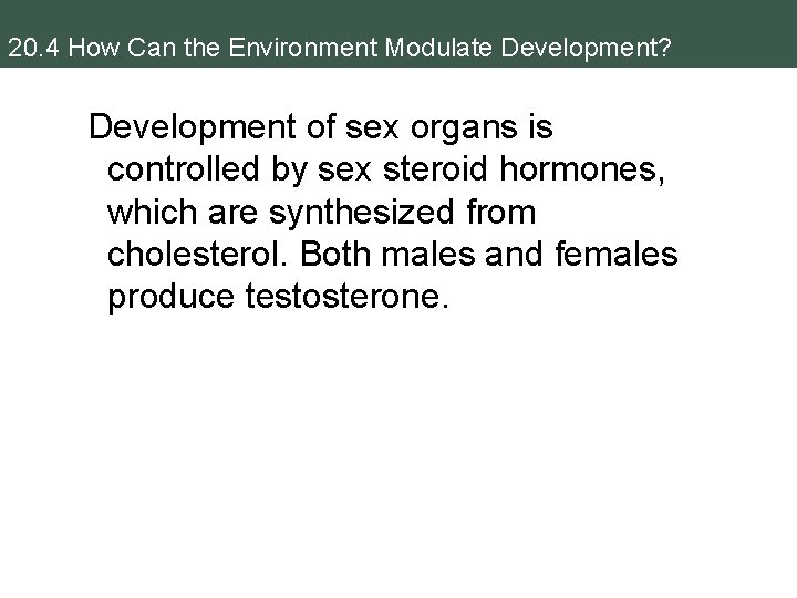 20. 4 How Can the Environment Modulate Development? Development of sex organs is controlled