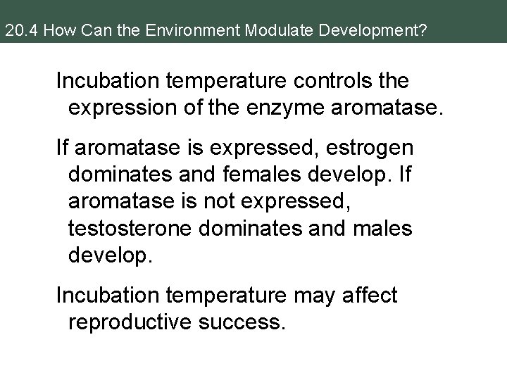 20. 4 How Can the Environment Modulate Development? Incubation temperature controls the expression of
