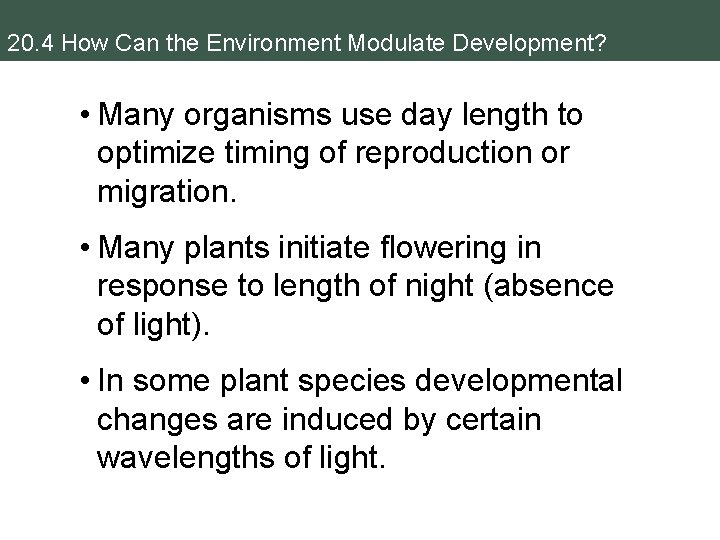 20. 4 How Can the Environment Modulate Development? • Many organisms use day length