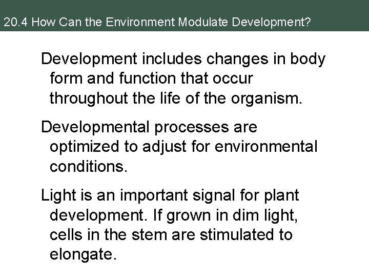 20. 4 How Can the Environment Modulate Development? Development includes changes in body form