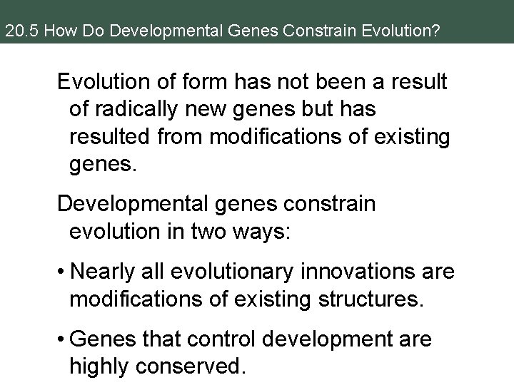 20. 5 How Do Developmental Genes Constrain Evolution? Evolution of form has not been