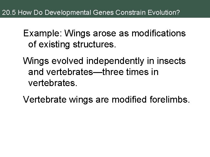 20. 5 How Do Developmental Genes Constrain Evolution? Example: Wings arose as modifications of